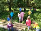 ALaCuillette_immersion-dans-la-nature.jpg