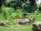 AmenagerSaMareNaturelle_mare-naturelle.jpg