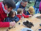 AnimationJardinNaturelFamilles_projet-ecole-anim-hotel-insectes-foy.jpg