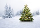 AtelierFamilleLAtelierDuPereNoel_dollarphotoclub_73941114-1-.jpg