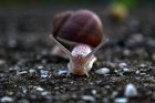 AtelierLesMalAimesDuJardin_slug-2808681_960_720.jpg