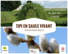 AtelierTipiEnSauleVivant_tipi-saule-vivant.jpg