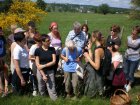 BaladeLesVertusDesPlantesSauvagesEstival_balade-plantes-sauvages-reduit-1.jpg