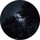 BaladeNocturne_balade-nocturne-crie-150x150.jpg