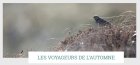 BaladeOrnithologiqueLesVoyageursDeLauto_voyageurs-automne.jpg