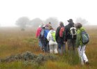 BaldadeGuidee_img_8793.jpg