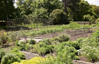 CaPousseAuPotager_2a8938669fc9fddb09ff233f6bcebf59.png