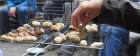 CuisineAuFeuDeBois2_crie-cuisine-sur-feu-de-bois-1.jpg