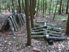 CultureDeChampignonsSurBuchesDeBois2_champignons-sur-buche.jpg