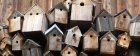 FabricationDeNichoirs2_crie-nichoirs-1-850x340.jpg