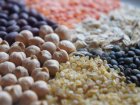 FestivalNourrirLiege2019AtelierCuisine_10-activite-evenement.jpg