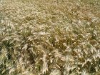 FormationAgricultureDhierAujourdhuiEt2_yd281014-(41).jpg