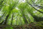 InitiationALaPhotoNatureAuPrintemps_crie-photo-nature-printemps-4.jpg
