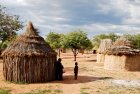 JourneePourLes812AnsVivonsCommeLesAfr_africains.jpg