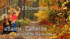 JourneeSteCatherineAuDomaineDeMariemont_bandea-fb-evenement-st-cath-2019.jpg