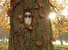 LandArtNatureDansLeParc_0866ef02e810b509c8ba0b1284c94709.png