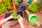 LesPetitsJardiniersEnAction_fb8e00a67d608d7056ad41bcd23cbf90.png