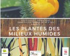 LesPlantesDesMilieuxHumidesVisitesGuide_plantes-milieux-humides.jpg