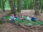 NidEnForet_un-grand-nid-dans-les-bois.jpg
