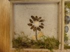 PotagerEnCarre_formation-potager-ecole-de-niveze-122.jpg