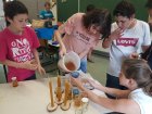 ProjetAbeilles_20180529_153030.jpg
