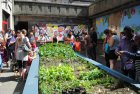 ProjetJardinonsALEcole_dsc_0071.jpg