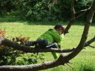 ReposDansUnArbre_stage-indien-2012-568.jpg
