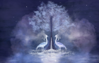 StageChimeresPourLes57Ans_1bb6f114190b915e15d6614c77021d3c.png