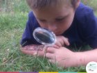 StageCurieuxNature_curieux.jpg