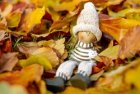 StageDEteConterFleurette_agenda_stage_lutin_250x167px.jpg