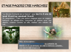 StageLeMondeEnchanteDeLaNature_stage-paques-crie-nancy-1.png