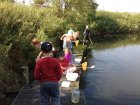 StageNatureSurLesBassinsAFrasnes812A_stage-matthew-bassinsfrasnes-2017.jpg