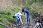 StagePourLes1216AnsChantiersNatureDans_525552a67259598691d665ddff0eb754.jpg