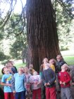 StagePourLes511AnsAupresDeMonArbre_aupres-arbre.jpg