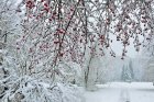 StagePourLes57AnsLaNatureEnHiver_872c9425983a6f479ed2e171f151be0e.jpg