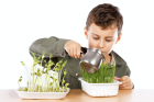 StagePourLes57AnsLePrintempsDuPotager_aa153441d46f2327dd9b2d43ae358084.png