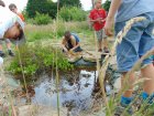 StageRevonsAuBordDeLEau_stages-7-9-ans-l-eau-la-terre.jpg