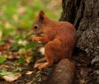 VisiteDuParcAuxPortesDeLHiver_depositphotos_74261419_original.jpg
