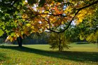 VisiteDuParcErables_depositphotos_13727962_petit.jpg