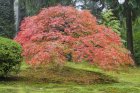 VisiteDuParcLesCouleursDeLaNatureSeDe2_visite-du-parc-les-couleurs-de-la-nature-se-devoil.jpg