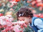 VisiteDuParcParfumsDArbresEtDArbustes_depositphotos_12187985_petit.jpg