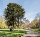 VisiteGratuiteDuParcLeMondeMerveilleuxD_visite-gratuite-du-parc-le-monde-merveilleux-de-ma.png