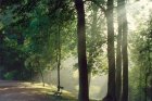 VisiteGratuiteGeneraleDuParc_visite-gratuite-generale-du-parc.jpg