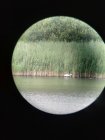 VisiteGuideeDesMarais_img_20190715_151057.jpg