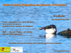VisiteGuideeReguliereDesMaraisDHarchies2_diapositive1.png