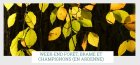 WeekEndForetBrameEtChampignonsEnArdenn_we-brame.jpg
