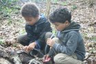 bf_imageStage_Carnaval_2015_enfants_chasse_insectes.jpg