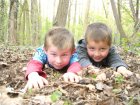 bf_imageStage_Toussaint_2015_enfants_dans_nature_-_web.jpg