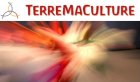 bf_imageagenda_eurythmie.jpg