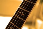 bf_imageagenda_stage_guitare_250px.jpg